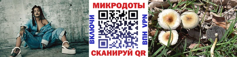 купить наркотики цена  Лукоянов  Псилоцибиновые грибы мицелий 